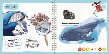 Carte Interactiva TipToi despre Balene si Delfini  [3]