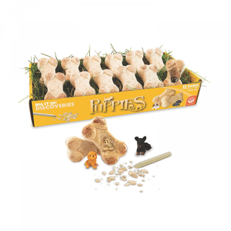 Dig It Up! Discoveries: Puppies - Catelusi [1]