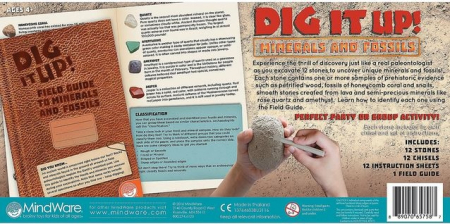 Dig It Up! Fossils & Minerals [2]