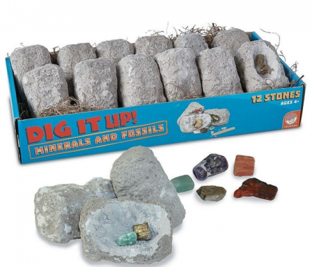 Dig It Up! Fossils & Minerals [1]