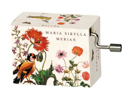 Idei de cadouri sub 50 lei - Flasneta Maria Sibylla Merian (pasari), Vivaldi Spring