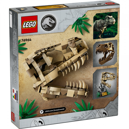 Fosile de dinozaur: craniu de T.rex [2]