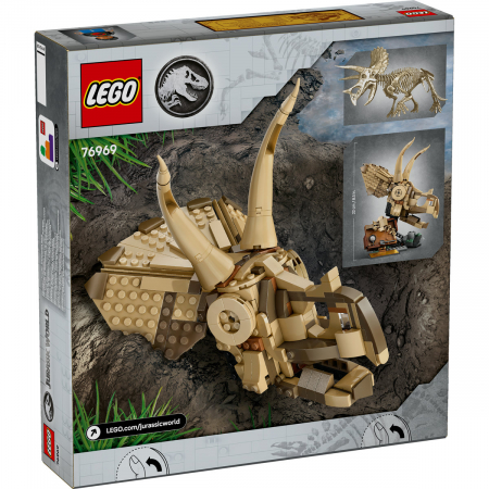  Fosile de dinozaur: craniu de Triceratops [2]