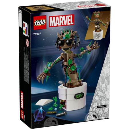 Groot dansator [2]
