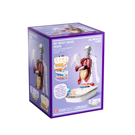 Jocuri educative - Joc STEM Anatomia umana, TopBright