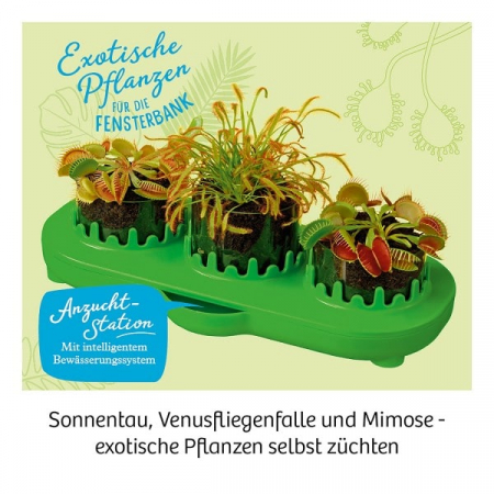 Plante carnivore, Experimente pentru copii [2]