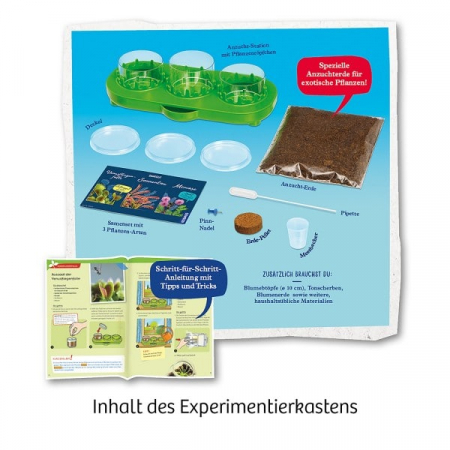 Plante carnivore, Experimente pentru copii [1]