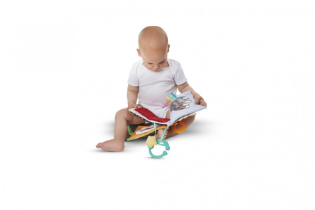 Primul Meu Album Foto Girafa Sophie [2]