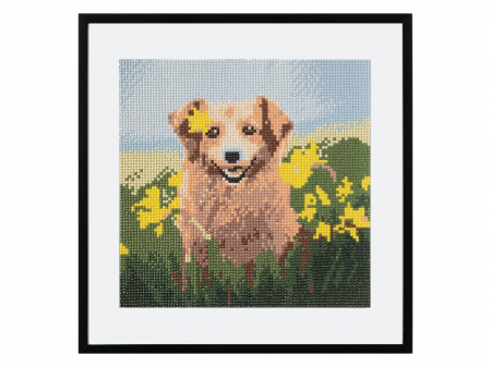 Set creativ pictura cu diamante, Diamond painting, Catel, Craft Sensations [2]