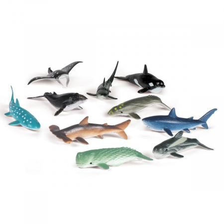 Set de sortat - Animalute din ocean [1]