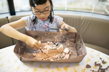 Set educativ Sapa si descopera Dinozauri - Triceratops [4]