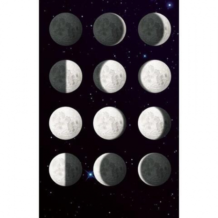 luna cu telecomandă [4]