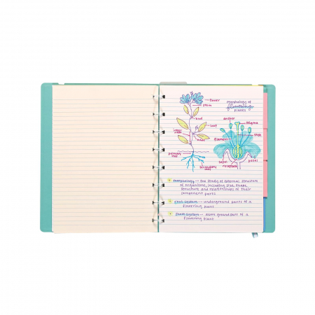 Stilouri duble 2 in 1 cu marker, Writer's Duo - set de 3 [3]