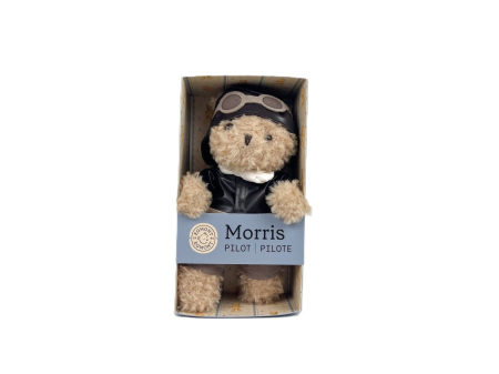 Jucării bebeluși - Ursuletul pilot - jucarie de plus, Egmont Toys