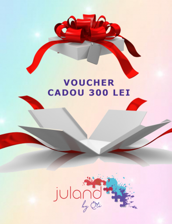 VOUCHERE CADOU - Voucher cadou 300 lei