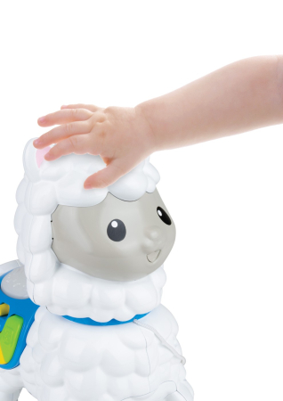 WINFUN JUCARIE DE IMPINS ALPACA [6]