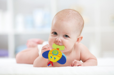 WINFUN JUCARIE DENTITIE ALBINUTA [2]