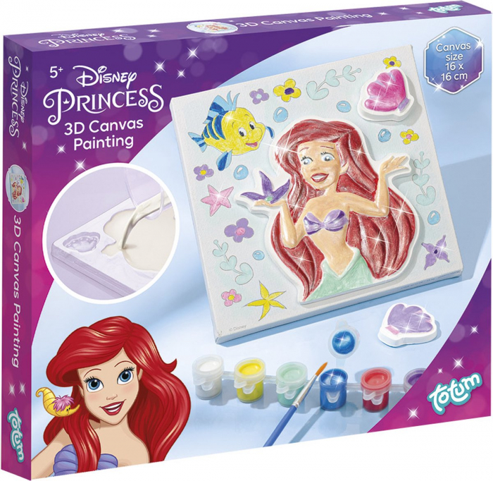 Set creativ pictura 3D Disney Princess