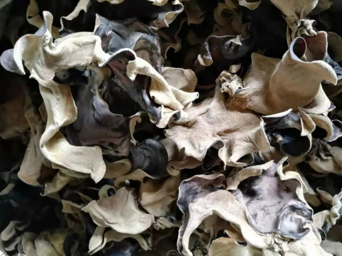 Black Fungus 50g [2]