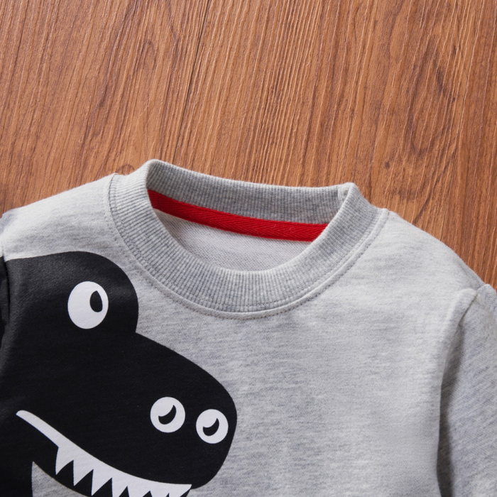 Bluza Gri Dino Baieti 2-5 Ani [3]