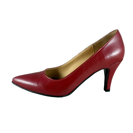 Stiletto - Pantofi 053 Bordo