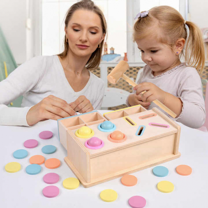 Cutie Multifunctionala Montessori din Lemn pentru Sortarea Culorilor si Formelor [6]