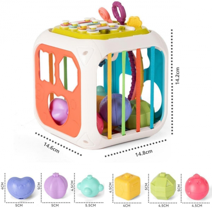 Jucarii Montessori Senzoriale pentru Bebelusi - Set Educational pentru Sortarea Formelor [6]