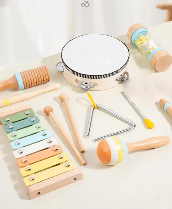 Set Instrumente Muzicale Montessori din Lemn 6 Instrumente [3]