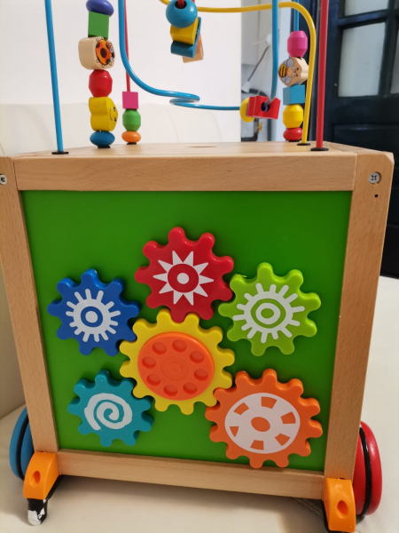 Antepremergator din Lemn Montessori 6 in 1 [8]