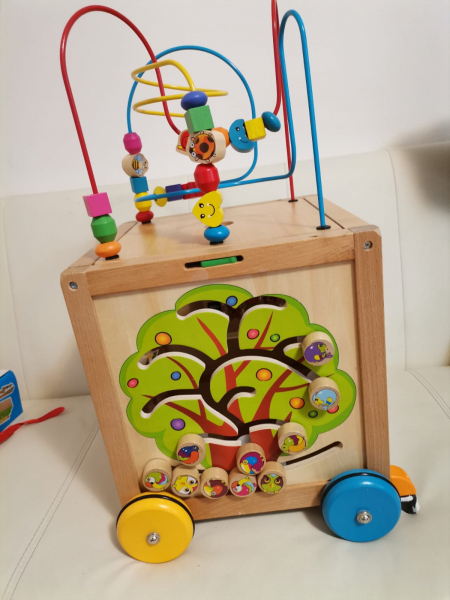 Antepremergator din Lemn Montessori 6 in 1 [10]