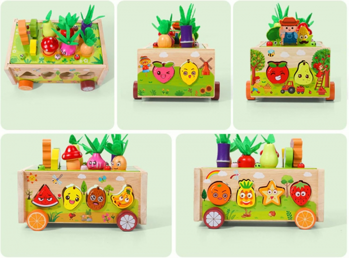 Jucarie Montessori 3 in 1 – Sortator, Pescuit & Forme Colorate [5]
