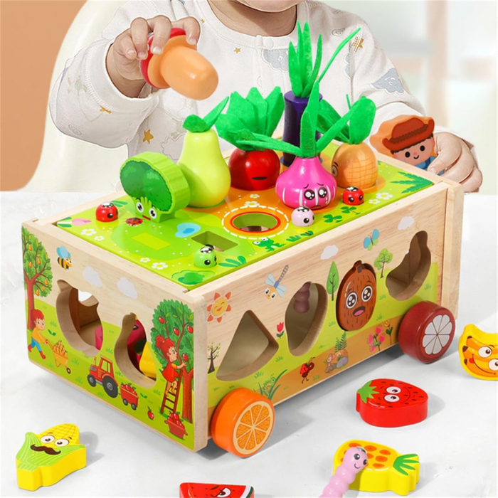 Jucarie Montessori 3 in 1 – Sortator, Pescuit & Forme Colorate [3]