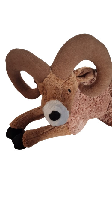 Oaie de Munte din plus, coarne mari, 70 cm, Jumbo [4]