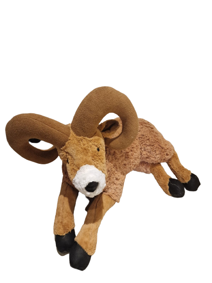 Oaie de Munte din plus, coarne mari, 70 cm, Jumbo [2]