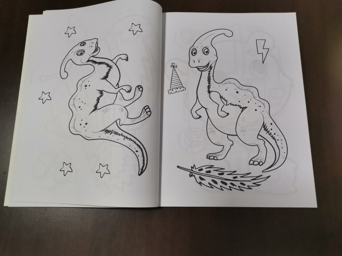 Set 3 Carti  de colorat pentru Copii cu desene Mari [10]