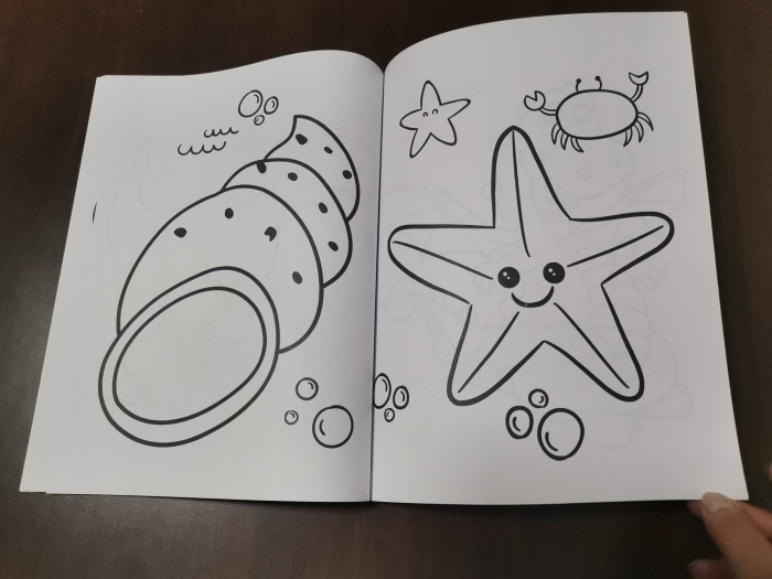 Set 3 Carti  de colorat pentru Copii cu desene Mari [17]