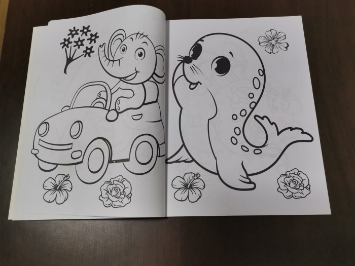 Set 3 Carti  de colorat pentru Copii cu desene Mari [7]