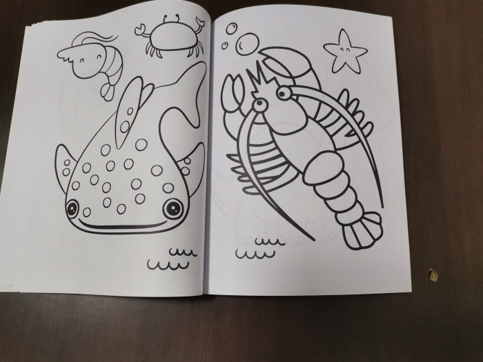 Set 3 Carti  de colorat pentru Copii cu desene Mari [18]
