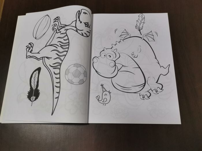 Set 3 Carti  de colorat pentru Copii cu desene Mari [6]