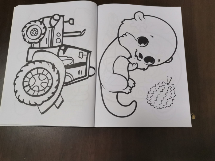 Set 3 Carti  de colorat pentru Copii cu desene Mari [14]