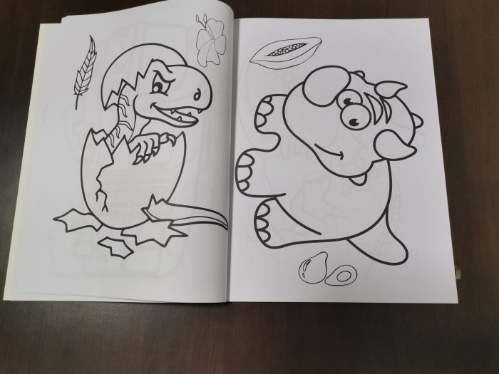 Set 3 Carti  de colorat pentru Copii cu desene Mari [12]