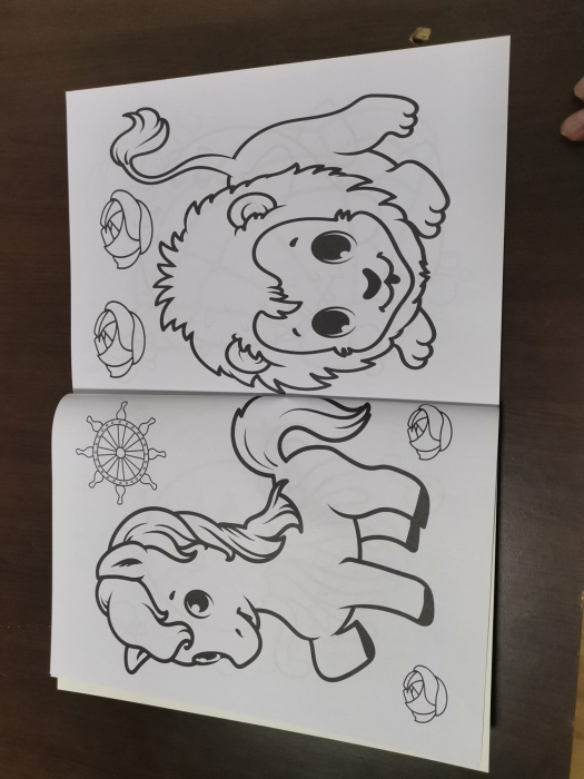 Set 3 Carti  de colorat pentru Copii cu desene Mari [16]