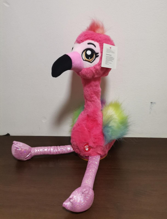 Flamingo Interactiv de Plus Canta si Vorbeste [2]