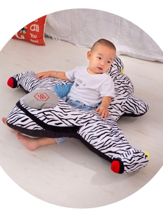 Fotoliu din Plus sit up bebe Avion [2]