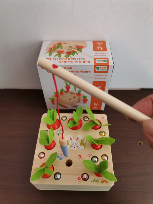 Joc din lemn Metoda Montessori Motricitate Morcovi [9]