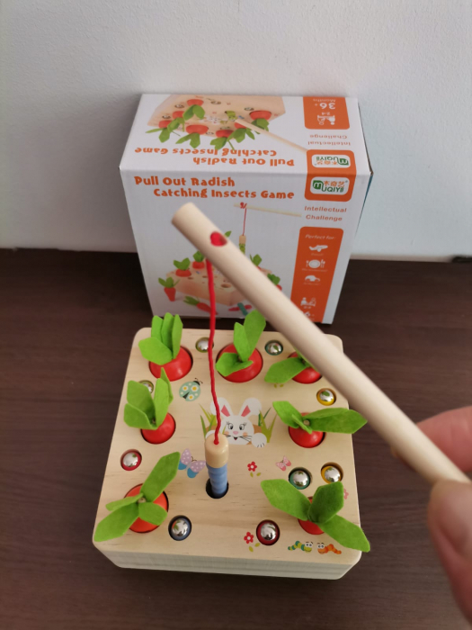 Joc din lemn Metoda Montessori Motricitate Morcovi [8]