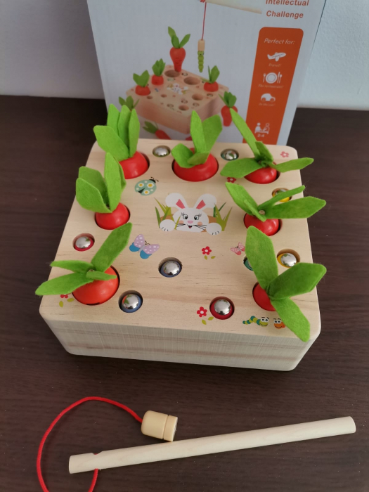 Joc din lemn Metoda Montessori Motricitate Morcovi [10]
