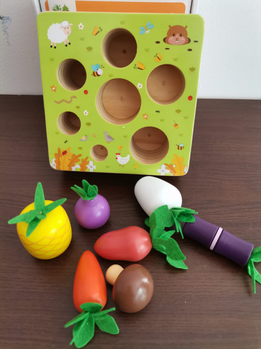 Joc interactiv Motricitate [9]
