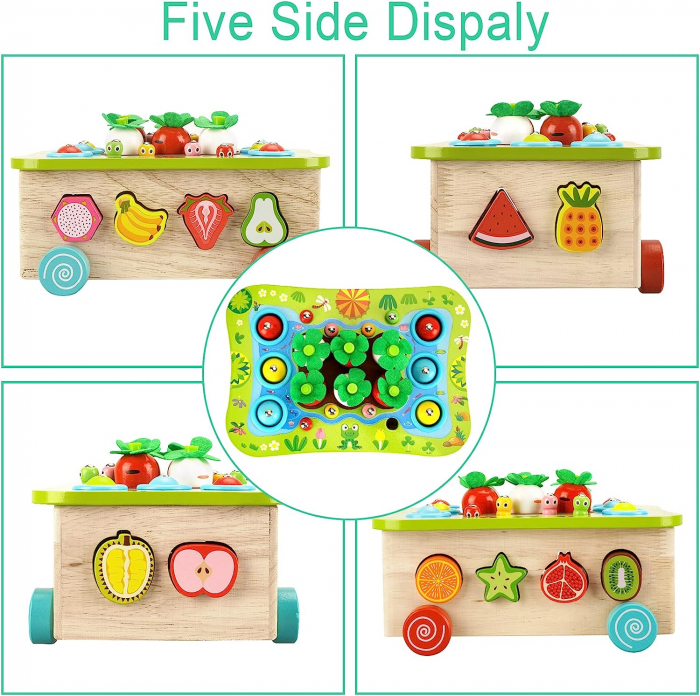 Joc lemn Montessori soratre culori pescuit magneticGradina cu Legume si Fructe [5]