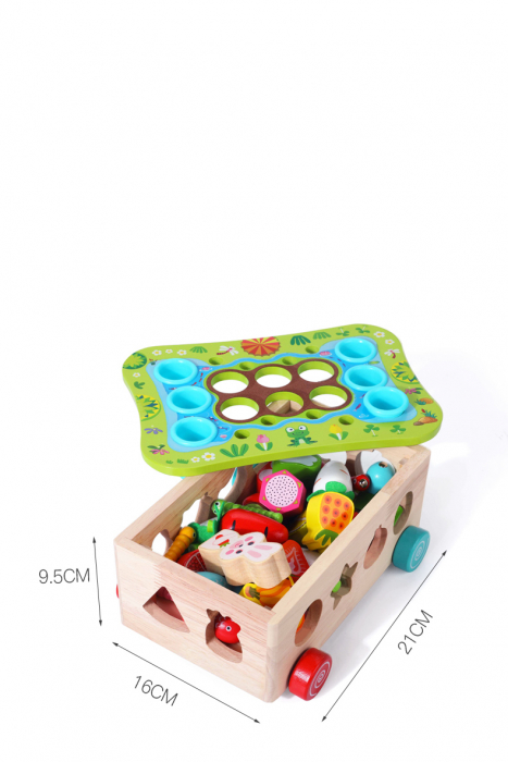 Joc lemn Montessori soratre culori pescuit magneticGradina cu Legume si Fructe [9]